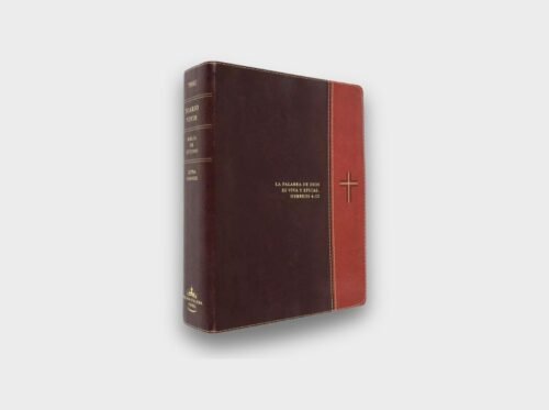 Biblia Diario VIvir letra grande 1 (4) Biblia de Estudio Diario Vivir letra grande