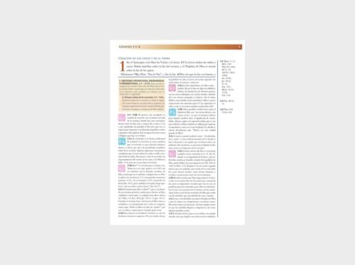 Biblia de Estudio Mundo Hispano Imitación Piel