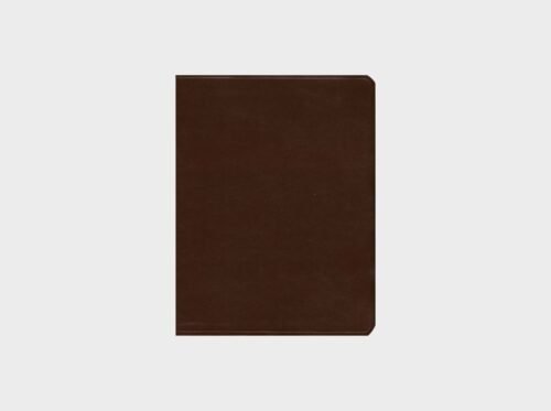 Biblia de Estudio Mundo Hispano Imitación Piel