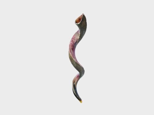 Shofar Jumbo XL de 43" a 46" Hecho en Israel