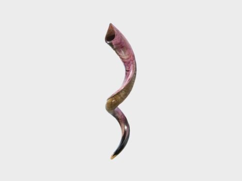 Shofar  Jumbo de 39" a 42" Hecho en Israel