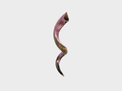 Shofar Yemenita Mediano de 32 a 35 Shofar Mediano de 32" a 35" Hecho en Israel