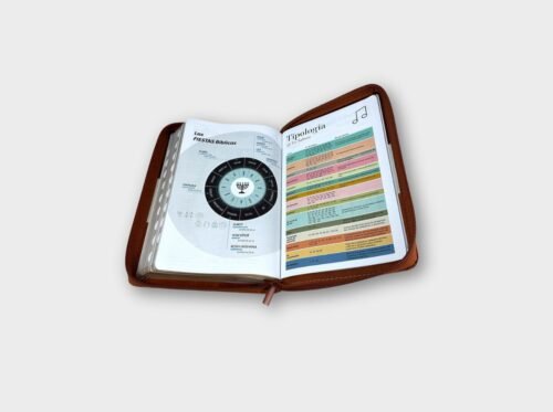 Biblia Reina Valera 1960 Tamaño Manual Tricolor Marrón/Beige/Café | Letra Grande 12 pts