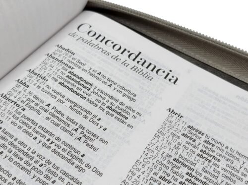 fotos - 2025-07-15T235257.803 Biblia Reina-Valera 1960 Portátil León Gris | Letra Grande 12 Puntos | Con Cierre e Índice