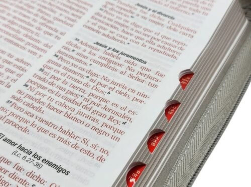 fotos - 2025-07-15T235307.075 Biblia Reina-Valera 1960 Portátil León Gris | Letra Grande 12 Puntos | Con Cierre e Índice