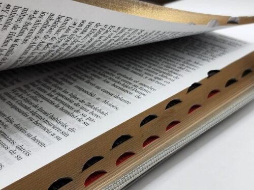 fotos - 2025-07-15T235317.472 Biblia Reina-Valera 1960 Portátil León Gris | Letra Grande 12 Puntos | Con Cierre e Índice