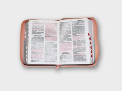 Biblia RVR60 Letra Grande 11 Puntos – Diseño Pájaros (Rosa/Azul) Tamaño portátil con cierre | Imitación piel de alta calidad