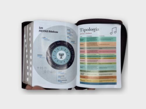 Biblia Reina-Valera 1960 Bolsillo – Elegante Café/Burdeo