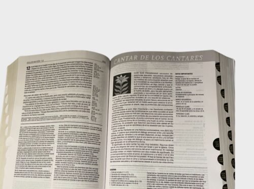 Biblia de Estudio Diario Vivir Reina-Valera 1960 – SentiPiel Café Claro con Índice