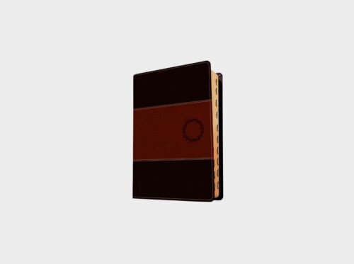 Biblia de estudio del diario vivir NTV, letra grande con indice