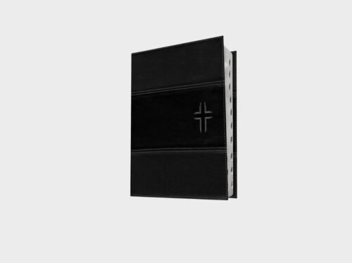 Biblia de estudio del diario vivir NTV, letra grande con Indice