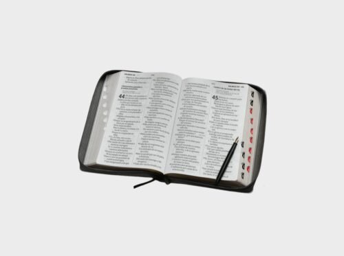 fotos (26) Biblia RVR60 Inspiración León Negro/Gris tamaño Grande Letra 19 puntos