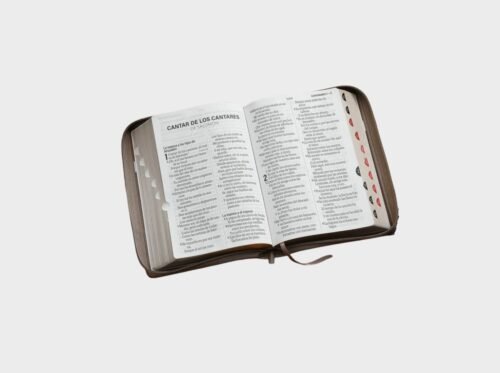 Biblia RVR60 Negro/café/café Beige tamaño Letra Súper Gigante 19 Puntos con cierre e índice