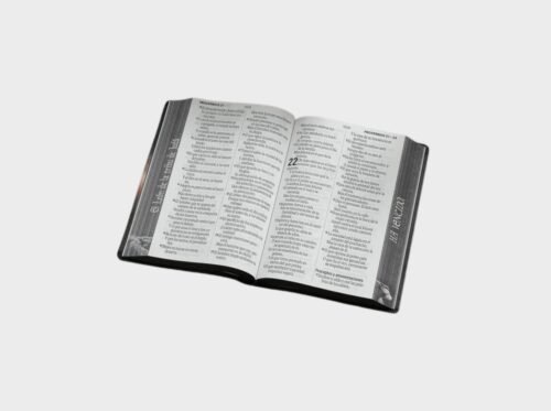 Biblia RVR60  León de Judá tamaño Grande Letra 19 Puntos