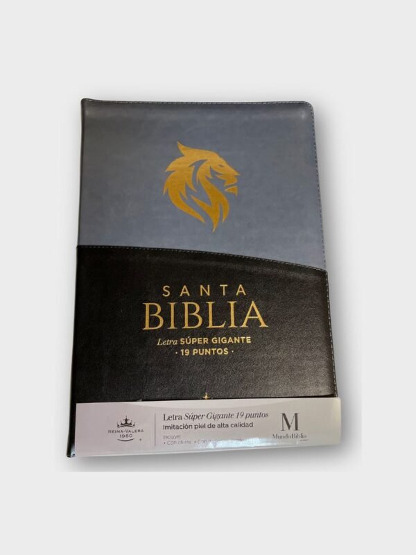 Santa Biblia Reina-Valera 1960 – Letra Súper Gigante 19 pts | Con cierre