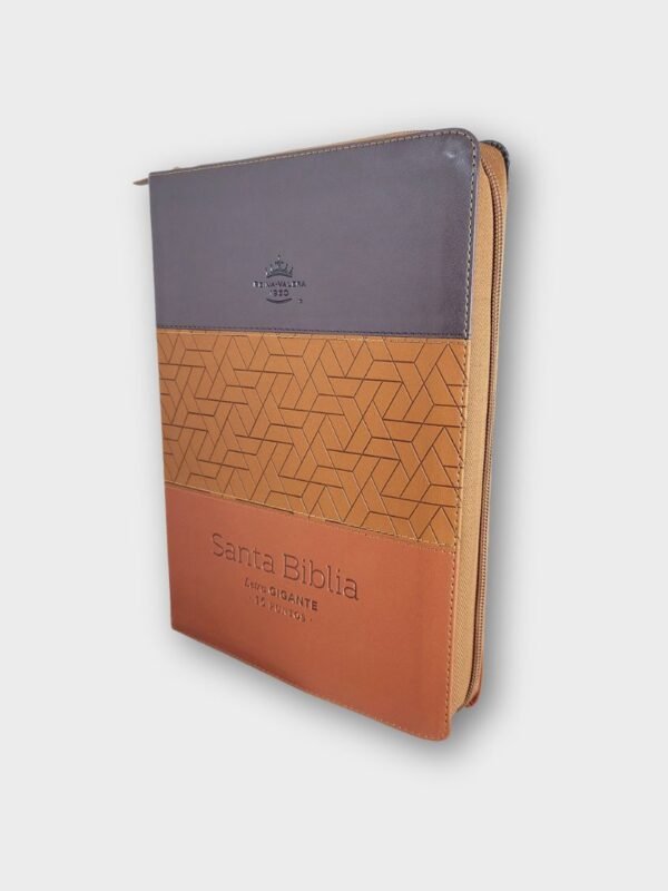 Biblia RVR60 Tricolor Marrón/café oscuro/café claro tamaño Gigante 15 puntos