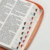 Santa Biblia Reina-Valera 1960 – Letra Gigante 14 pts | Jardín Coral | Con cierre, índice y canto pintado