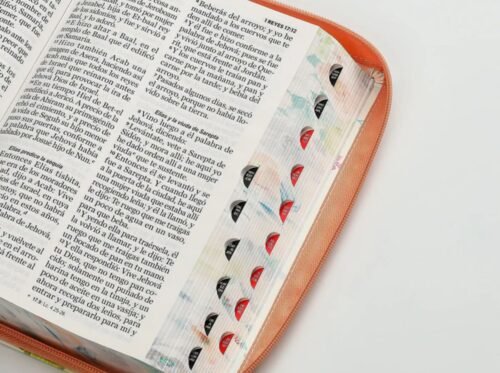 Santa Biblia Reina-Valera 1960 – Letra Gigante 14 pts | Jardín Coral | Con cierre, índice y canto pintado