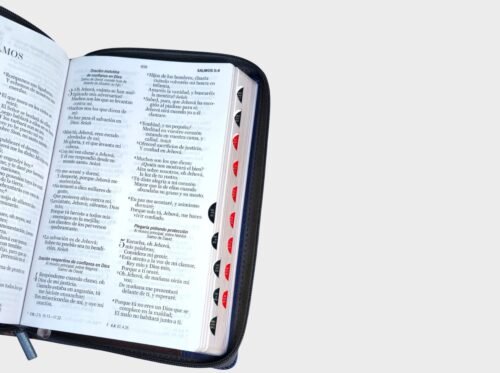Biblia Reina-Valera 1960 Faro | Letra Grande 12 pt | Tamaño Manual | Con Cierre