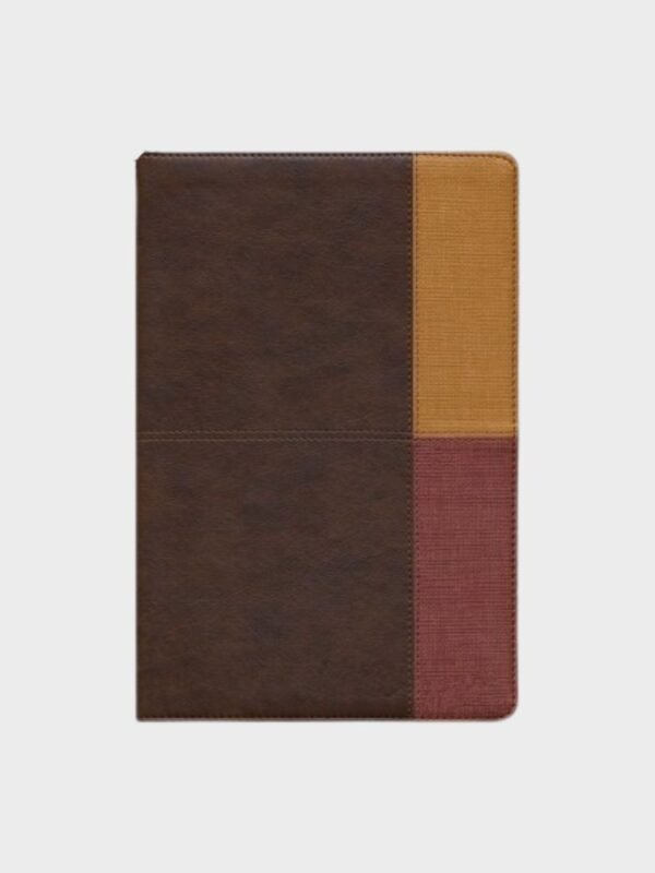 FOTOS DE BIBLIAS Y DICCIONARIOS (32) Biblia de Estudio Arcoíris RVR 1960 – Cocoa/Terracota, Símil Piel con Índice