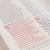 Biblia Peshitta Caoba Duotono Símil Piel | Traducción del Texto Arameo Original con Notas Explicativas