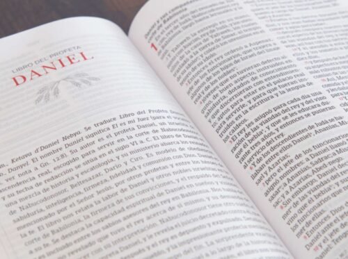 Biblia Peshitta Caoba Duotono Símil Piel | Traducción del Texto Arameo Original con Notas Explicativas