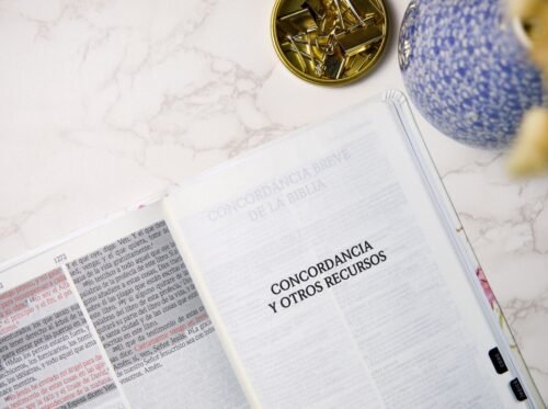 Biblia de Promesas RVR 1960 Letra Gigante Piel Floral con Índice