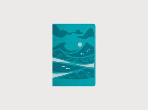 Biblia GO para Niños NTV | Biblia Infantil a Todo Color | Nueva Traducción Viviente