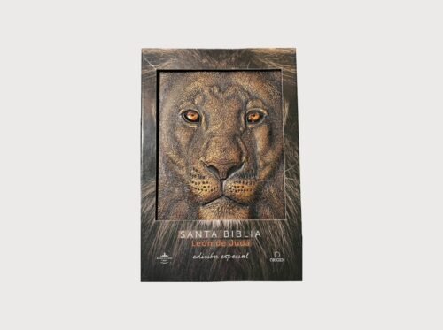 Biblia de una joven conforme al corazón de Dios (54) Biblia Reina Valera 1960 Letra Grande Ultrafina | León de Judá Bronce 3D | Símil Piel con Imágenes de Tierra Santa y Palabras de Cristo en Rojo