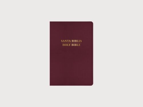 RVR 1960/KJV Biblia bilingüe letra grande, borgoña imitación piel (Edición 2024)