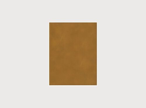 RVR 1960 Biblia ilustrada de la Tierra Santa, café símil piel con índice