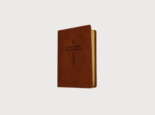 Biblia Bilingüe Inglés Español NLT/NTV | Bilingual Bible Parallel Edition | New Living Translation / Nueva Traducción Viviente