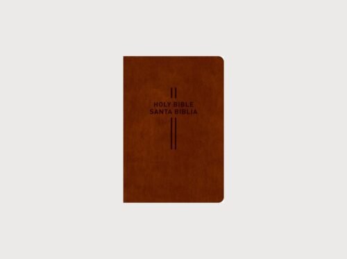 Biblia Bilingüe Inglés Español NLT/NTV | Bilingual Bible Parallel Edition | New Living Translation / Nueva Traducción Viviente