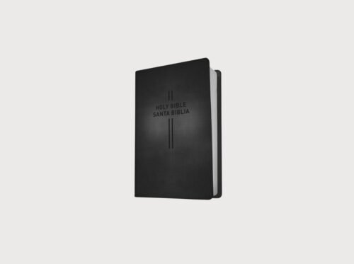 Biblia Bilingüe Inglés Español NLT/NTV | Bilingual Bible Parallel Edition | New Living Translation / Nueva Traducción Viviente
