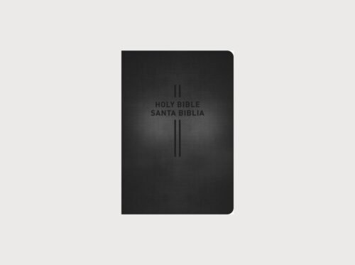 Biblia Bilingüe Inglés Español NLT/NTV | Bilingual Bible Parallel Edition | New Living Translation / Nueva Traducción Viviente