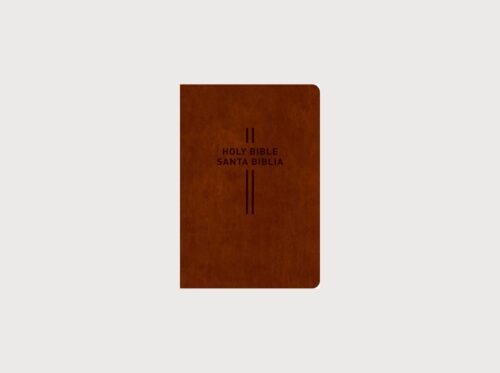 Biblia Bilingüe Inglés Español NLT/NTV LeatherLike Brown | Bilingual Bible Parallel Edition