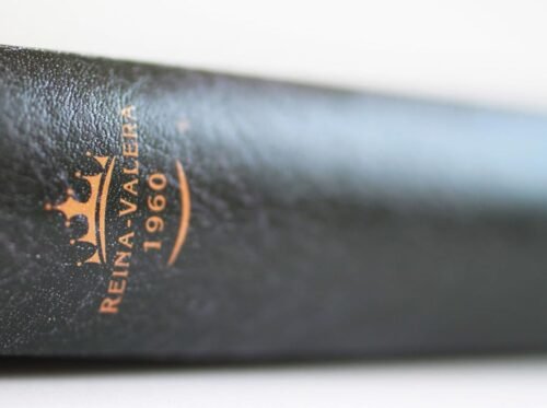 Biblia RVR60 Letra Grande León de Judá | Tamaño Manual Ultrafina | Símil Piel | Reina Valera 1960| Con índice