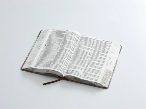 Biblia RVR60 Yo y Mi Casa Letra Súper Gigante 19 Puntos | Reina Valera 1960