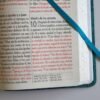 Biblia RVR60 Letra Gigante 14 Puntos Azul con Pájaros | Tamaño Manual | Símil Piel con Cantos Pintados