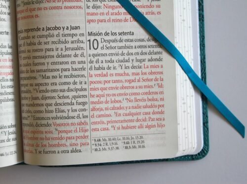 Biblia RVR60 Letra Gigante 14 Puntos Azul con Pájaros | Tamaño Manual | Símil Piel con Cantos Pintados