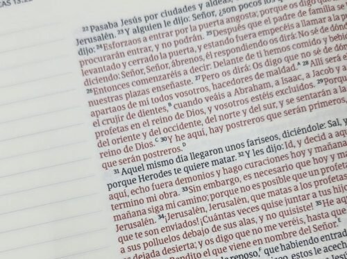Biblia de Apuntes RVR60 Tamaño Personal Café | Símil Piel | Reina Valera 1960 para Notas y Journaling