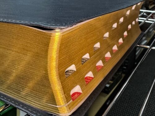Biblia de Estudio | Letra Gigante 13 Puntos | con índice | Reina Valera 1960