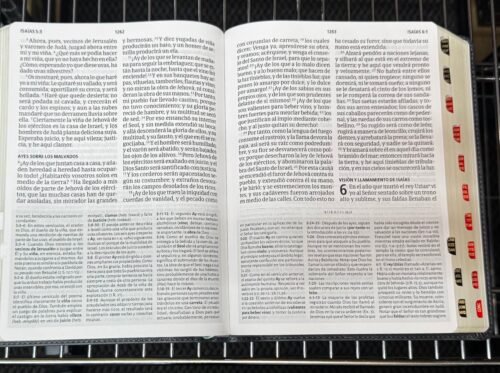 Biblia de Estudio | Letra Gigante 13 Puntos | con índice | Reina Valera 1960