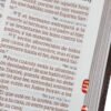 Biblia RVR60 Letra Súper Gigante Marrón con Índice | Piel Fabricada | Reina Valera 1960