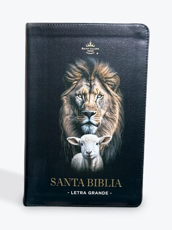 Biblia Reina Valera 1960 Letra Grande 12 Puntos | RVR60 con Concordancia