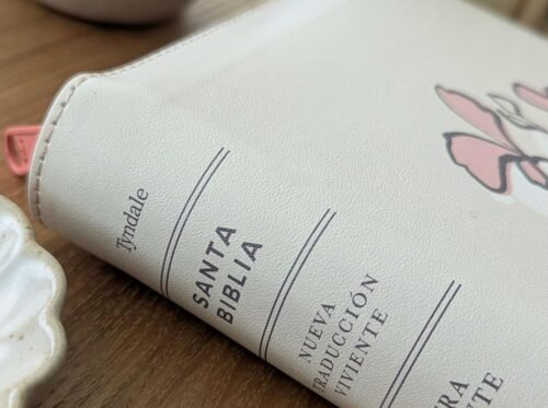 Biblia NTV Compacta Letra Gigante Beige con Zíper e Índice | SentiPiel | Filament | Nueva Traducción Viviente