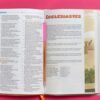 CSB One Big Story Bible for Kids | LeatherTouch | 146 Color Illustrations | Christian Standard Bible