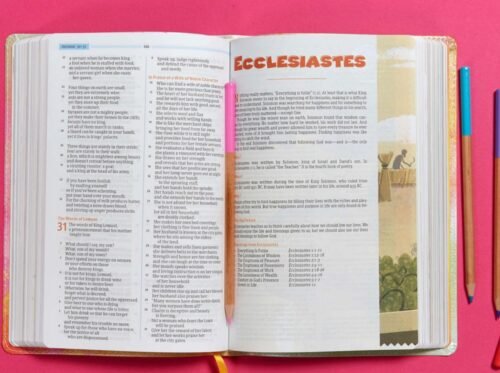 CSB One Big Story Bible for Kids | LeatherTouch | 146 Color Illustrations | Christian Standard Bible