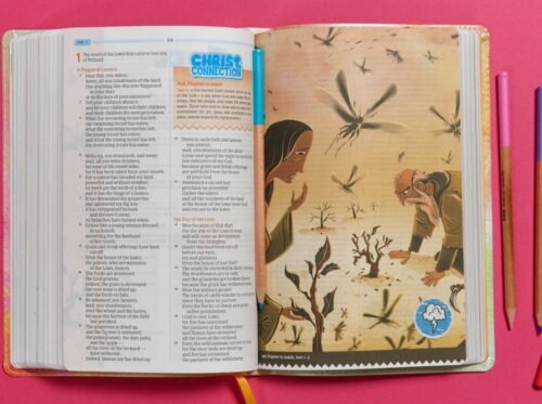 CSB One Big Story Bible for Kids | LeatherTouch | 146 Color Illustrations | Christian Standard Bible