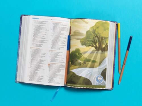 CSB One Big Story Bible for Kids | LeatherTouch | 146 Full-Color Illustrations | Christian Standard Bible